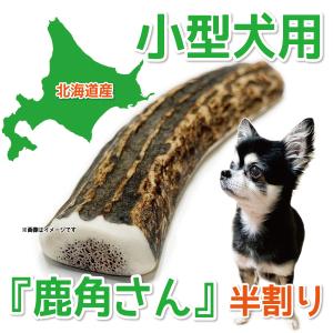 小型犬用 蝦夷鹿の角 『鹿角さん』 半割りタイプ 1本 天然 無添加 北海道産 鹿の角 犬のおもちゃ 犬 かむおもちゃ エゾ鹿 エゾシカ ツノ デンタル｜手づくり屋さんヤフー店