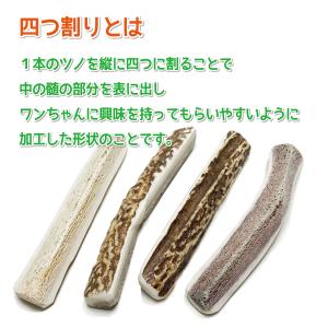 鹿の角 小型 犬 用 鹿角さん 四つ割り2本セ...の詳細画像3