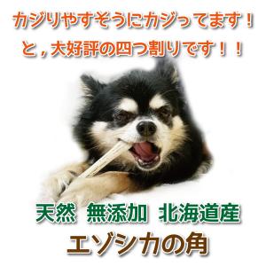 鹿の角 小型 犬 用 鹿角さん 四つ割り2本セ...の詳細画像4