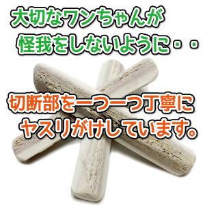 鹿の角 小型 犬 用 鹿角さん 四つ割り2本セ...の詳細画像5
