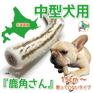 中型犬用 蝦夷鹿の角 『鹿角さん』 割っていないタイプ 1本 天然 無添加 北海道産 鹿の角 犬のおもちゃ 犬 かむおもちゃ エゾ鹿 エゾシカ ツノ デンタル 鹿角｜tezukuriyasan