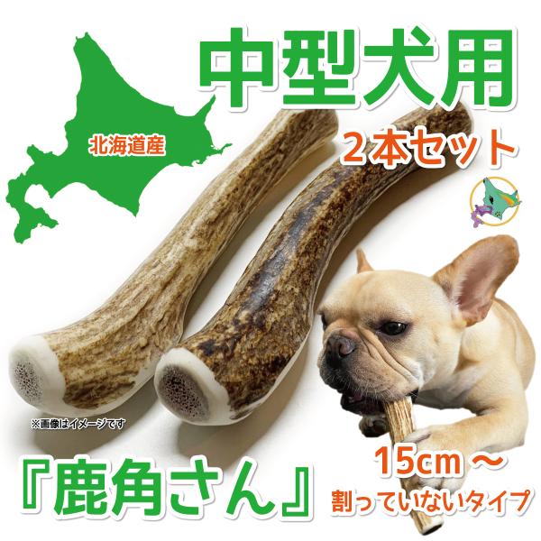 中型犬用 蝦夷鹿の角 『鹿角さん』 割っていないタイプ 2本 天然 無添加 北海道産 鹿の角 犬のお...