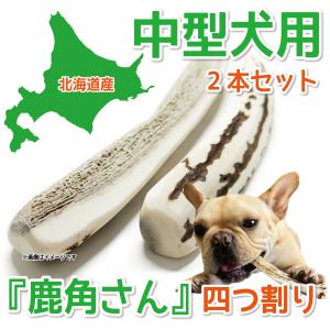 小型犬用 蝦夷鹿の角 『鹿角さん』 四つ割りロング２本セット 天然 無