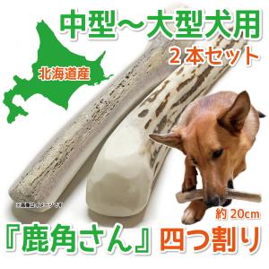 中型犬〜大型犬用 蝦夷鹿の角 『鹿角さん』 四つ割りロング 2本セット 鹿の角 天然 無添加 北海道産 犬のおもちゃ 犬 かむおもちゃ エゾ鹿  ツノ デンタル 鹿角｜tezukuriyasan