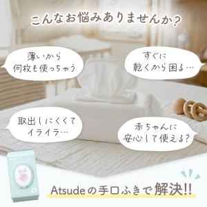 AIRFRIC 手口ふき 2way おうち用 ...の詳細画像4