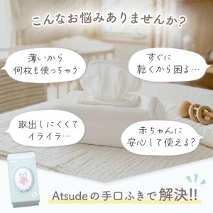 AIRFRIC 手口ふき 厚手 無添加 無香料...の詳細画像2