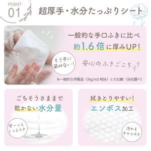 AIRFRIC 手口ふき 厚手 無添加 無香料...の詳細画像3