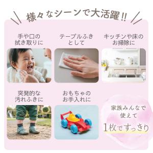 AIRFRIC 手口ふき 厚手 無添加 無香料...の詳細画像4