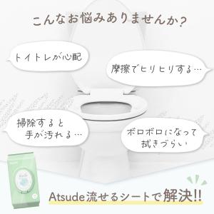 AIRFRIC 流せるおしりふき 厚手 無添加...の詳細画像2
