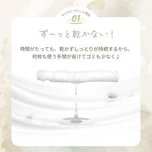 AIRFRIC 除菌 ウェットシート ノンアル...の詳細画像5