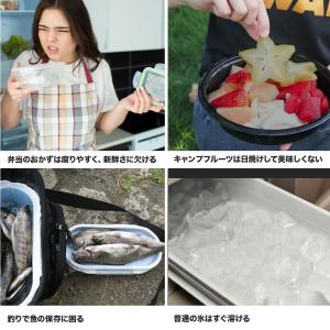 倍速凍結&驚異の保冷力!夏に最高な冷却...の詳細画像2