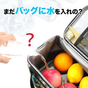 倍速凍結&驚異の保冷力!夏に最高な冷却...の詳細画像3