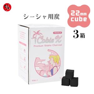 TFS Cobie X - プレミアム シーシャ炭 22mm キューブ 96個入り 1箱