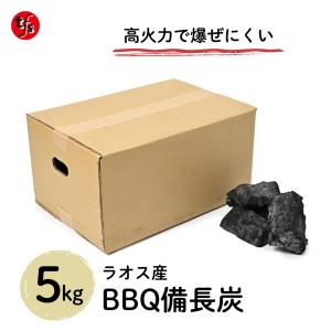 増田屋 鯱備長炭 国産オガ炭 10kg 上級品 /炭 木炭 バーベキュー BBQ