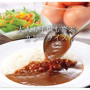 食研カレー 欧風ビーフカレー 日本食研 200...の詳細画像1