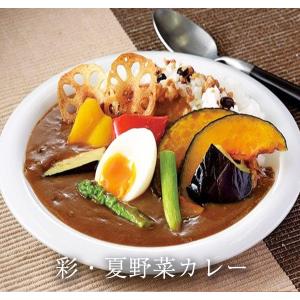 食研カレー 欧風ビーフカレー 日本食研 200...の詳細画像2