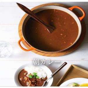 食研カレー 欧風ビーフカレー 日本食研 200...の詳細画像5