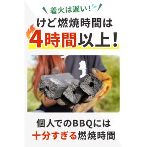 TFS 松葉備長炭 中国産 オガ炭(オガタン)...の詳細画像4