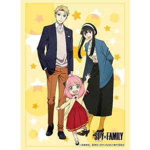 オフィシャルスリーブコレクション2013「ユニコーンガンダム」 : 買取