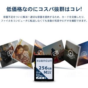 SDカード メモリーカード 容量256GB U...の詳細画像3