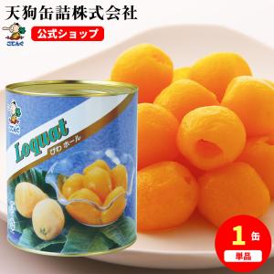 びわ 缶詰 中国産 ホール 1号缶 固形1,220g バラ売り 天狗缶詰 業務用 食品｜tgctengu