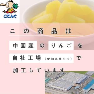 りんご 中国原料国内製造 ダイス 固形1,00...の詳細画像3