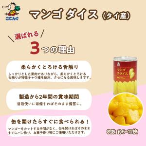 マンゴー 缶詰 タイ産 スライス 4号缶 固形...の詳細画像1