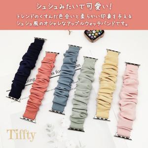 アップルウォッチ バンド 10 シュシュ レデ...の詳細画像1