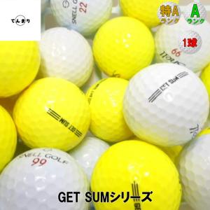 スネル GET SUM シリーズ モデル混合 ...の詳細画像1
