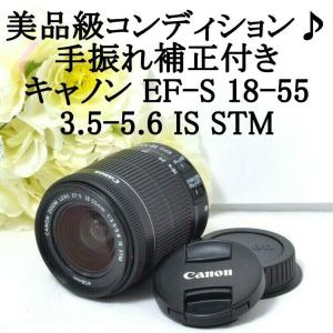 EFレンズ キャノン 望遠ズームレンズ Canon EF 100-300mm F4.5-5.6 USM