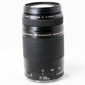 キャノン 望遠ズームレンズ Canon EF ...の詳細画像5