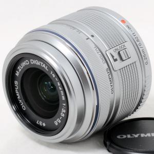 ニコン Nikon AF-S DX NIKKOR 55-300mm F4.5-5.6 G ED VR 一眼カメラ用