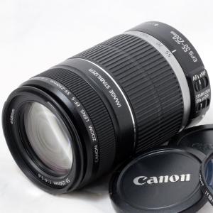 EF-S キヤノン Canon 55-250mm F4-5.6 IS STM 望遠レンズ 一眼レフ