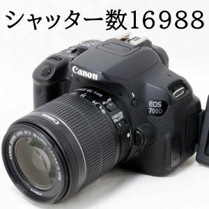 EOS Kiss X2 キヤノン デジタル一眼レフカメラ Canon 28-80mm 55-200mm