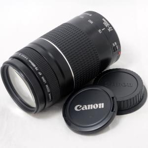 キヤノン 望遠ズームレンズ Canon EF-S 55-250mm F4-5.6 IS APS-C対応 初心者 おすすめ 中古｜サンクスライフストア