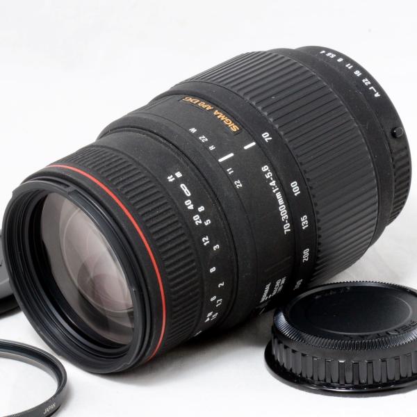 シグマ 望遠ズームレンズ SIGMA APO 70-300mm F4-5.6 DG MACRO ペン...