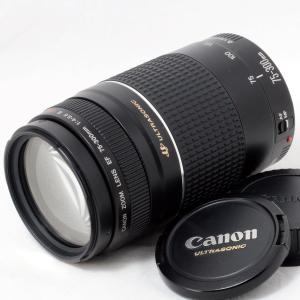 EF-S キヤノン Canon 55-250mm F4-5.6 IS STM 望遠レンズ 一眼レフ