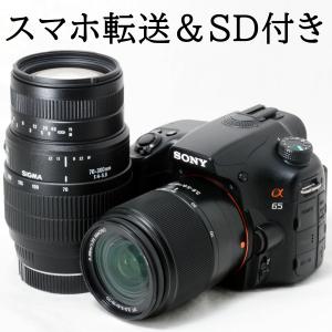 ニコンD ニコン Nikon D5100 18-55mm 55-300mm ダブルズームキット