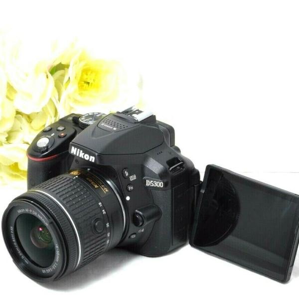 ニコン Nikon D5300 レンズキット SDカード付き カメラ 中古 デジタル一眼レフ