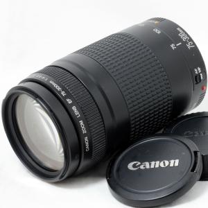 レンズ(ズーム) Canon EF 75-300mmF4~56 IS EF75-300mm F4-5.6 II USM - キヤノンカメラミュージアム