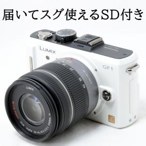 パナソニック ミラーレス一眼 中古の高価買取価格