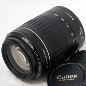 キャノン 望遠ズームレンズ Canon EF 5...の商品画像
