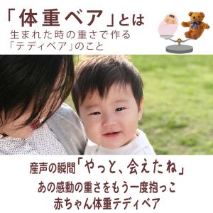 メープル/シュガー【アウトレット】体重ベア|ウ...の詳細画像1