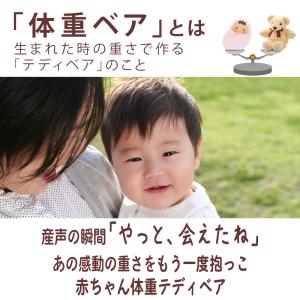 赤ちゃん 体重ベア 【ベーシック】出産祝い 誕...の詳細画像1