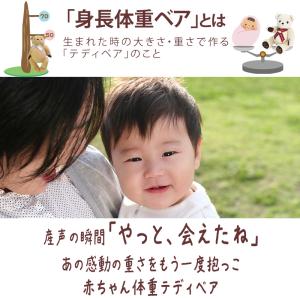 身長体重ベア ウェイトベア ウエイトドール【T...の詳細画像1