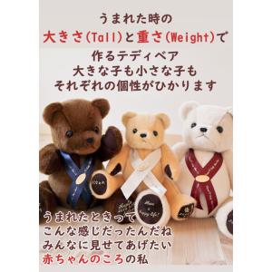 身長体重ベア ウェイトベア ウエイトドール【T...の詳細画像2
