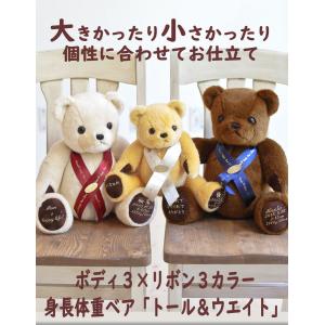 身長体重ベア ウェイトベア ウエイトドール【T...の詳細画像3