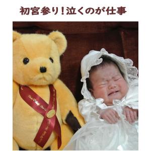 身長体重ベア ウェイトベア ウエイトドール【T...の詳細画像4
