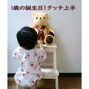 身長体重ベア ウェイトベア ウエイトドール【T...の詳細画像5