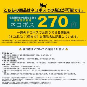 【ネコポス:2個まで】 アンチフォグ 即効!強...の詳細画像3